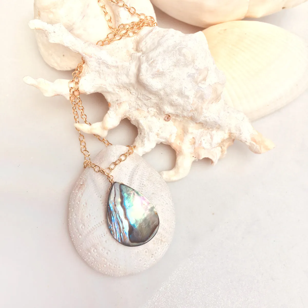 Abalone Shell Necklace (GF)