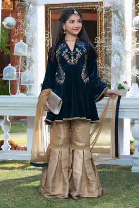 Handwork Embroidered Peplum Style Gharara Suit | WC1718 | G1321